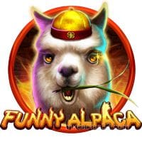 FunnyAlpaca